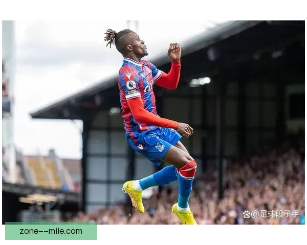 2025夏窗新星登陆法甲 里尔官宣签下意甲潜力年轻前锋引发关注