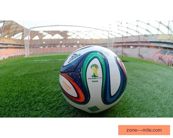 国际足联宣布世界杯决赛将在纽约新泽西大都会人寿体育场举行